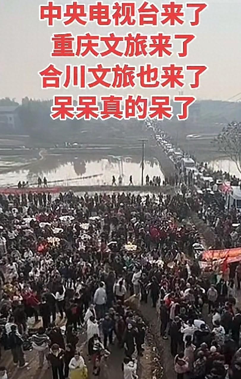 雷速体育app下载-央视车被堵外面，人民日报下场，白衬衫守护，呆呆成为历史第一人